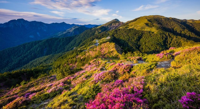 Oggi, 20 marzo, primo giorno di primavera. Ecco perché non cadrà più il