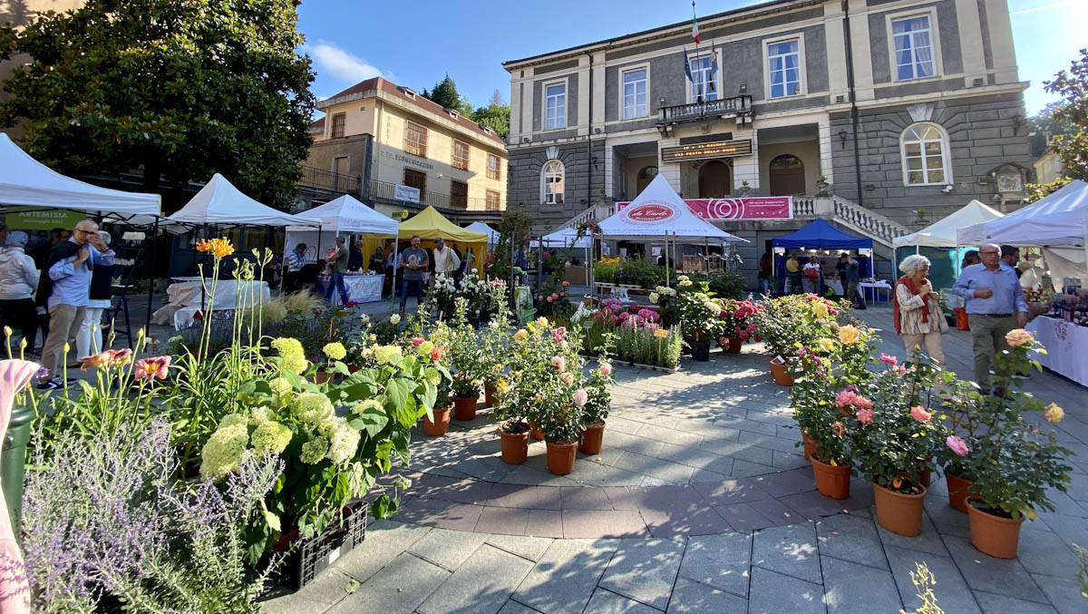 “Festa delle Rose – Busalla è un fiore”, sabato 7 e domenica 8 giugno ...